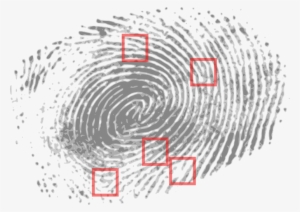 The Identity We Can't Change - Criminal #675017