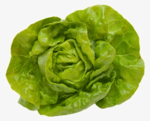 Butter-fieldpack #675033 Butter-fieldpack #675033