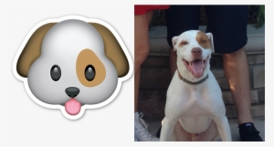 Dog Emoji - Carinha De Cachorro Desenho #675227 Dog Emoji - Carinha De Cachorro Desenho #675227