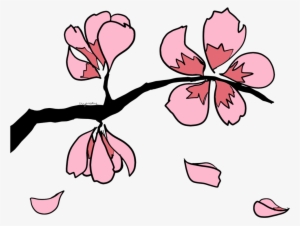 Sakura Clipart Transparent - Sakura Branch Clip Art Png #675367