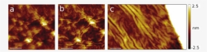 Rippling Of Graphene Induced By Stm Tip - Flame #675457