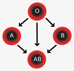 Wikipedia, The Free Encyclopedia - Four Blood Types #675551