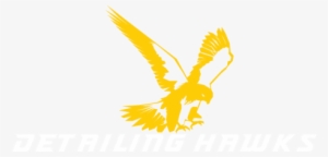 Golden Eagle #675552