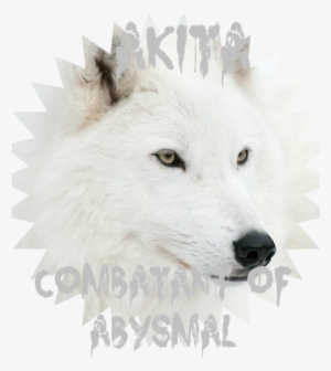 Funny White Wolf Face 1 - Fifth Grade First Day Of 5th Grade Printable #675763