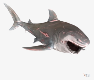 Bull Shark Png Graphic Transparent Stock - Great White Shark #677218