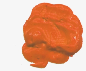 Class Descriptions - Desert Miracle, Part 1 #677315