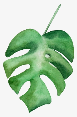 Watercolour - Green Water Color Leaves Png #677352