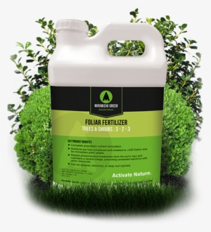 Tree & Shrub - Grass #677756