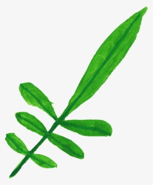 Free Download - Calligraphy #677955