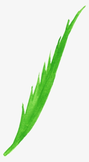 Free Download - Agave #678141