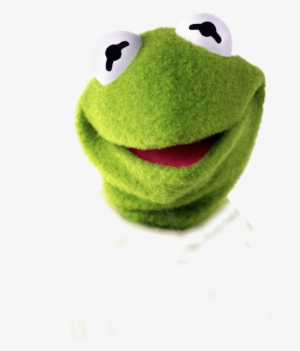 Real Life Kermit The Frog #678186