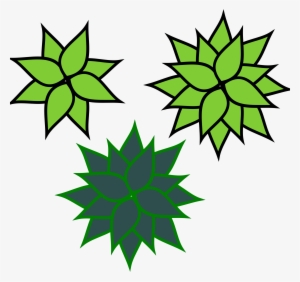 Agave Png #678319 Agave Png #678319