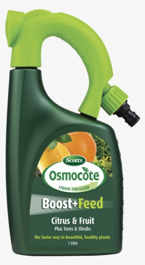 Osmocote® Boost Feed Citrus & Fruit Trees & Shrubs - Osmocote All Purpose 500g #678496