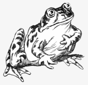 Frog Clip Art #678565