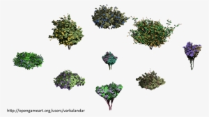 Hjm Randomized Forbs 03 Alpha - Illustration #678778