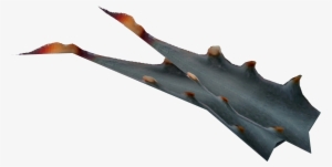 Nevada Agave Fruit - Nevada Fruit #678927