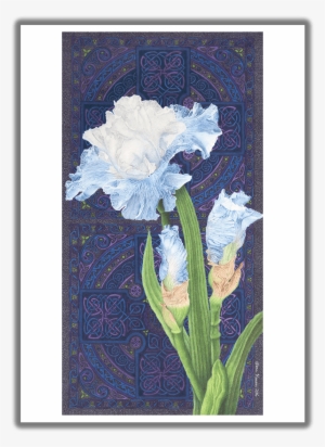Abiding Faith Blue Iris Greeting Card - *blank Card #679063