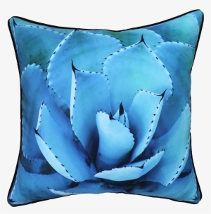 Golden Succulent Canvas Print, Oliver Gal Size: 20" #679167