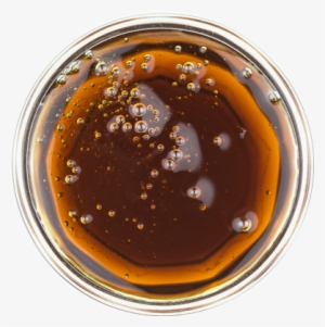Agave - Chocolate #679432 Agave - Chocolate #679432