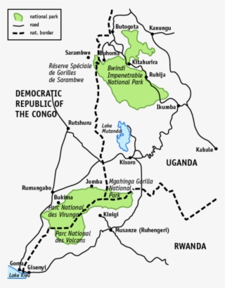 Mountain Gorilla #6700223