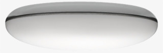 Silverback #6700488