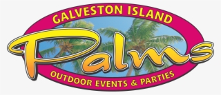 Galveston Island Palms #6701659