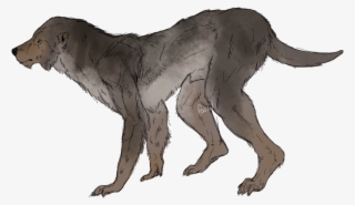 Dog Knot Tumblr #6704618