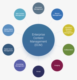 Social Media, Etc #6709885