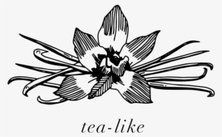 Windmill Tea-like #6711955