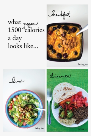 What Does 1500 Calories Look Like // Bring-joy #6712059