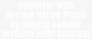 Volunteer With Restore Native Plants By Helping Remove #6713105
