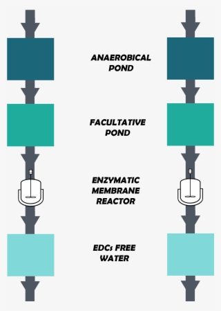 Our System Would Be Implemented At The End Of The Regular #6714551