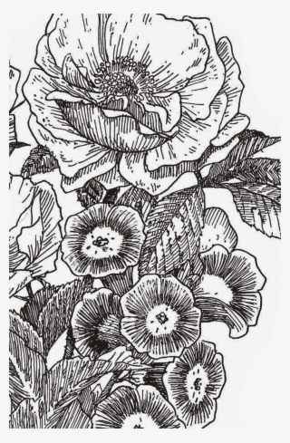 $50 Food And Beverage Credit Per Day #6718645