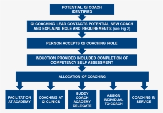 Qi Coaching New Coach #6718764