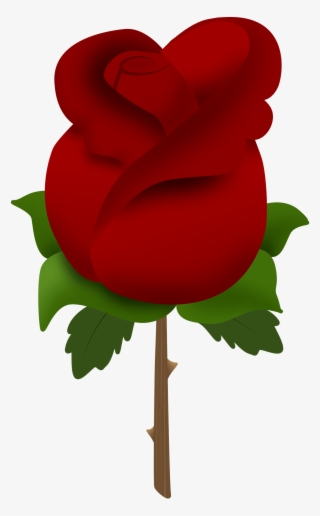 Rose #6721886