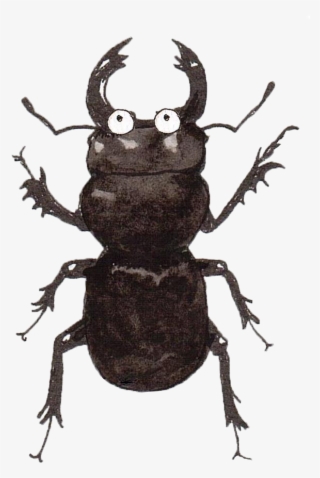 And To Finish Off, Some Birds That Appear In Australia #6721900