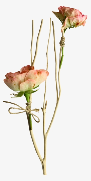 Long Stem Rose Png #6721977 Long Stem Rose Png #6721977