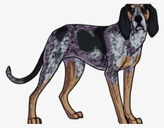 Hound Clipart Blue Tick Hound #6728629