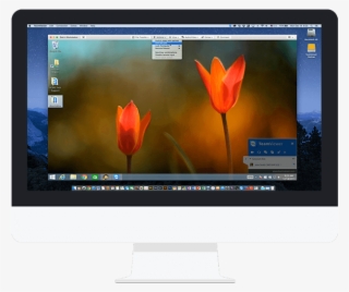 Teamviewer May Not Be A Household Name In The Flashy #6732101