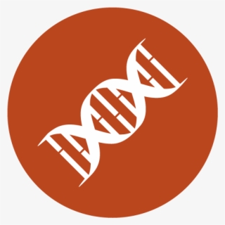 The Cambridge Bioscience Cdna Search Enables You To #6735106