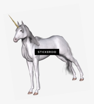 Full White Unicorn #6740686