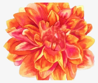 Petal Clipart Transparent Tumblr #6741597