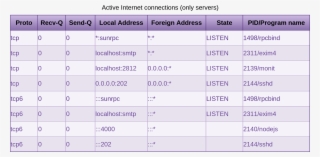 Which Shows That Exim4 Is Listening On Localhost And #6742119