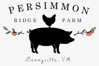 Pin It On Pinterest #6742309