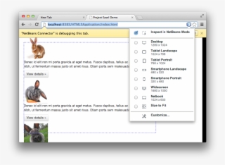 Responsive Web Design Capability #6742737