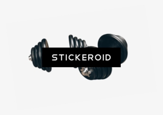 Barbell Equipments Gym Sports #6745698