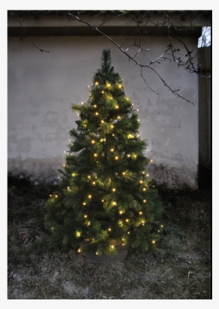 Christmas Tree Light Serie Led #6745758 Christmas Tree Light Serie Led #6745758