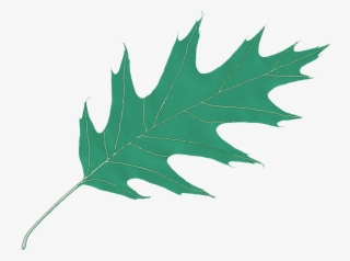 Free Icons Png #6746183