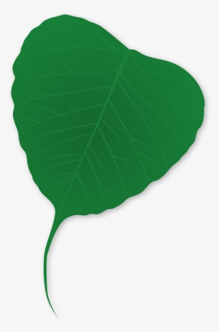 This Free Icons Png Design Of Ginko Leaf #6746429