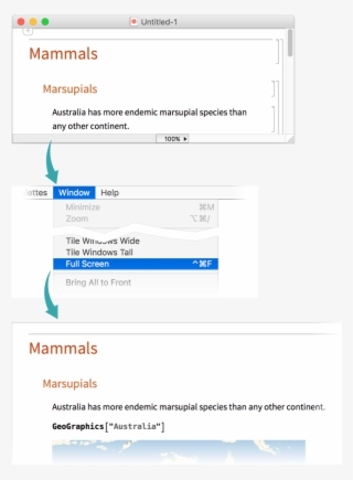 Make A Notebook Full Screen #6748213